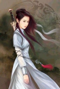 风流杨家将之宗宝救母
